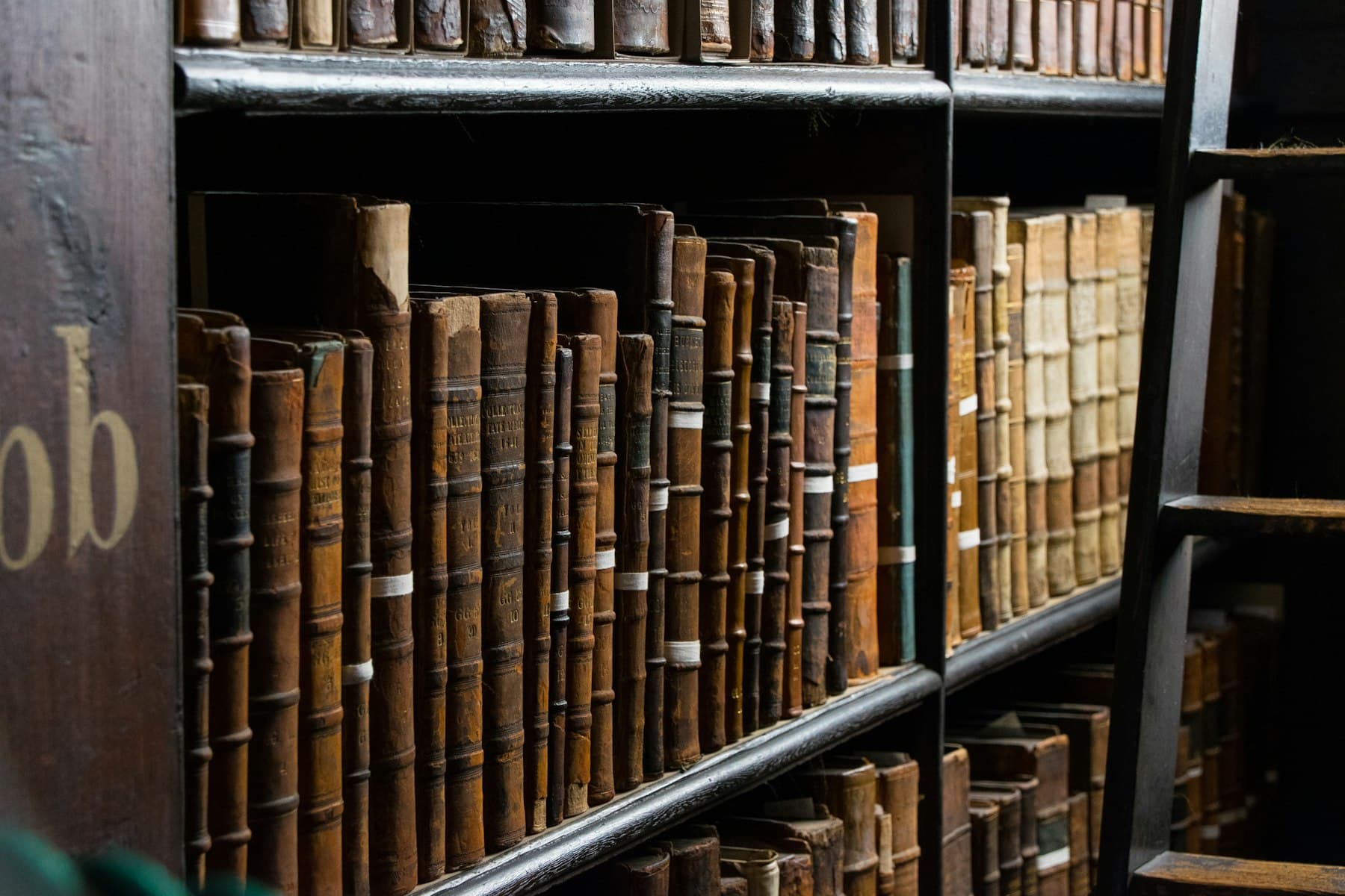 Leather-bound books on a library shelf